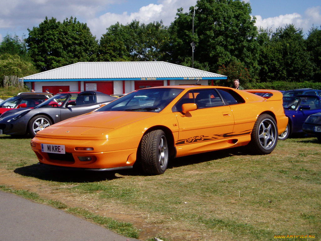 , lotus